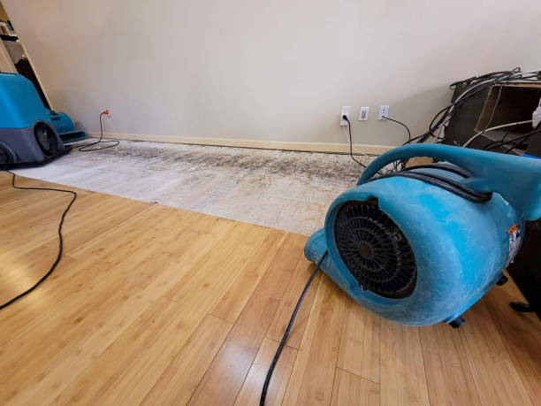 Professional Emergency Water Damage technician working in Bluff City, TN